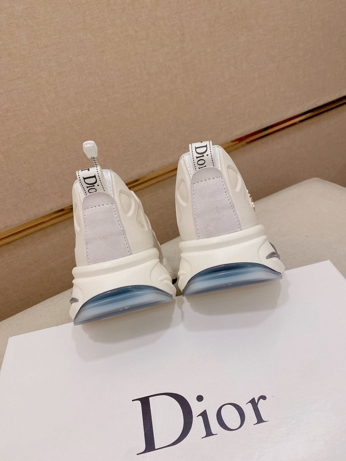 Dior Sculpted Sole Lace-Up Sneakers — back